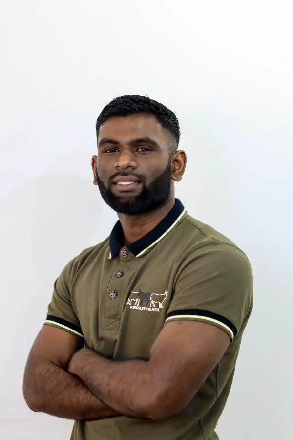 Bconsult staff portrait