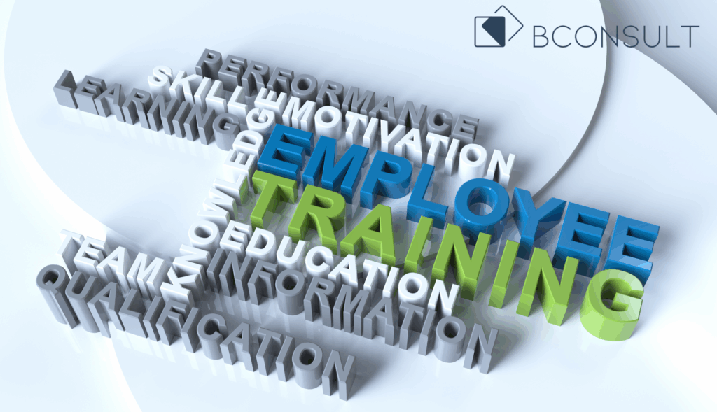 QCTO training for employees at BConsult South Africa